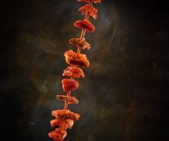 Veggie Indian Paneer Stick